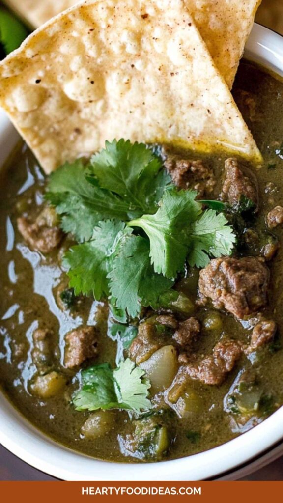 Best Beef Chili Verde Recipe