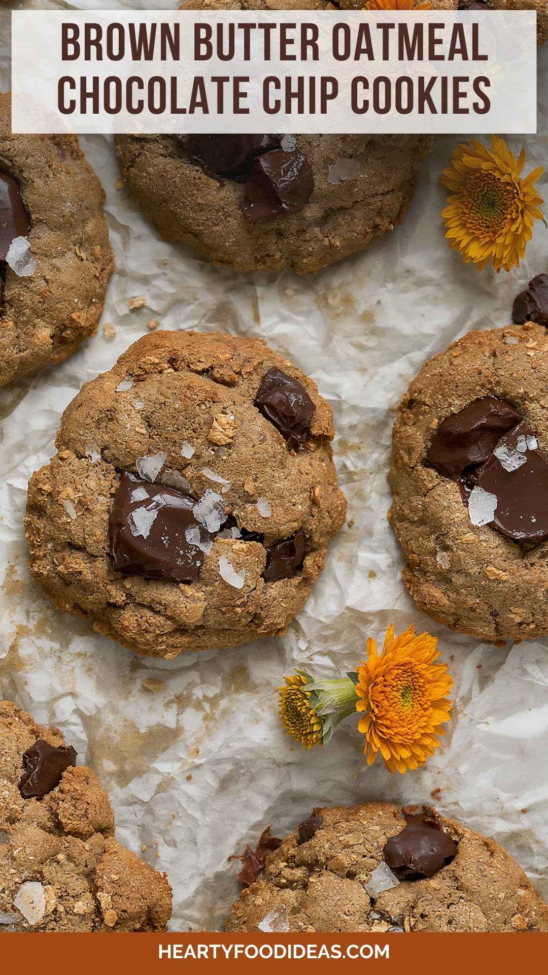 Brown Butter Oatmeal Chocolate Chip Cookies – Hearty Food Ideas