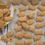 Homemade Goldfish