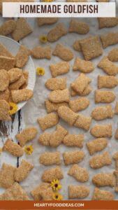 Homemade Goldfish – Hearty Food Ideas