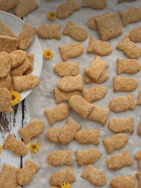 Homemade Goldfish